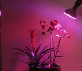 12X Led bitki büyümek ışık 10 W E27 Ampuller Spot par38 kırmızı mavi Çiçekli hidroponik sistem için lamba büyümeye yol açtı Bitki Lambası