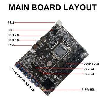 B250C BTC Madencilik Anakart ile G3920 veya G3930 CPU CPU+Fan + Anahtarı Kablosu 12 XPCIE USB3. 0 Grafik Kartı Yuvası Desteği DDR4 DIMM
