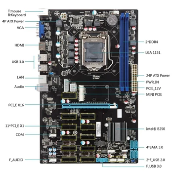 B250 BTC Madencilik Anakart LGA 1151 Soket Desteği DDR4 Dımm 2400/2133 MHz 12 PCIE Madencilik BTC ETH Anakart