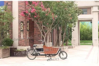 Elektrikli 2 Tekerlekli Sokak Gıda Bisikleti Yeni Tasarım Üç Tekerlekli Elektrikli Pedal Versiyonu İki tekerlekli Kargo Bisikleti